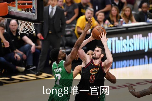 long8唯一官网 公司简介
